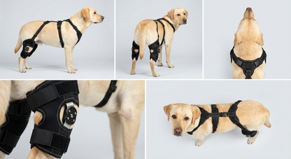 Dual Knee Support Brace